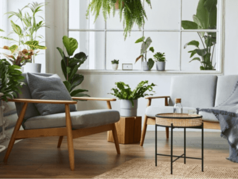 Pratika Designs (1) (1) (1) (1)